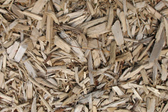 biomass boilers Cheglinch